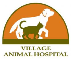 Seoska bolnica za životinje